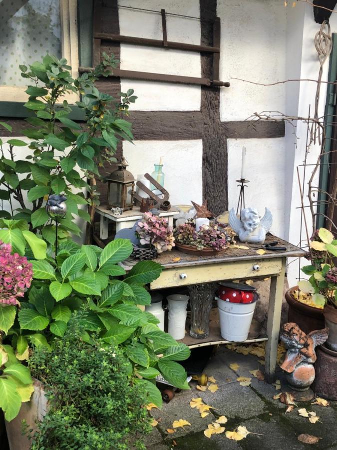 Platzhirsch Seligenstadt - Im Herzen Der Altstadt エクステリア 写真